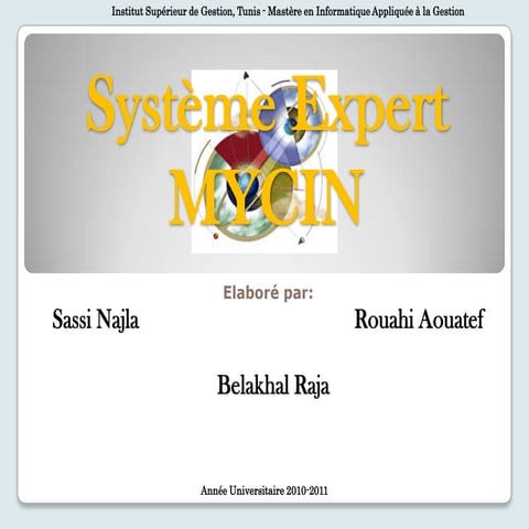 Systeme expert  mycin