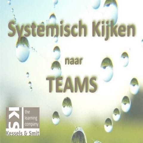 Systemisch kijken naar teams