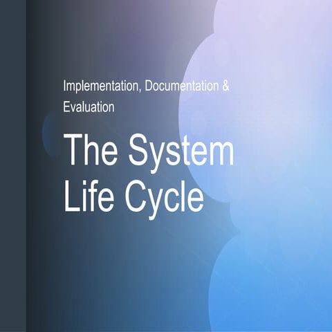 Comprehensive Guide to System Life Cycle: Implementation, Documentation ...