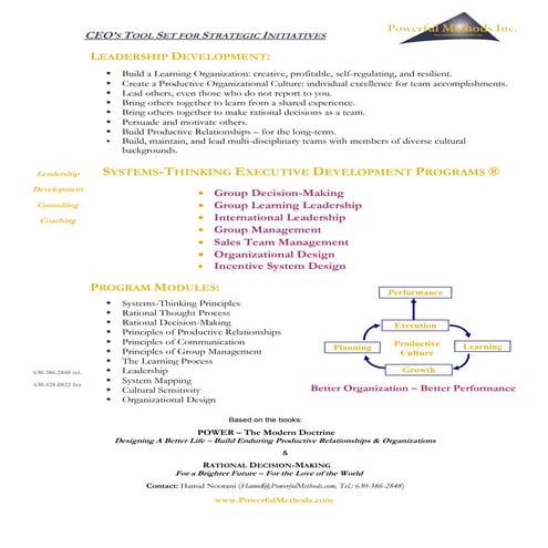 Systems thinking executive development programs