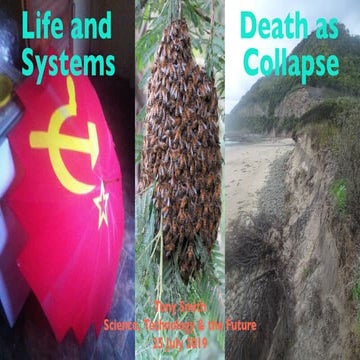 Life and Death as Systems Collapse