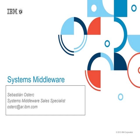 IBM API Management BPM Systems Engage