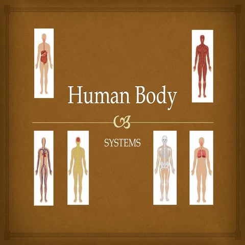 Systems presentation 5º