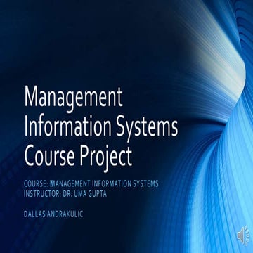 Management Information Systems Course Project