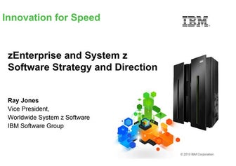 IBM System z - zEnterprise a future platform for enterprise systems