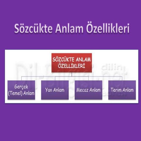 Sözcükte Anlam Özellikleri