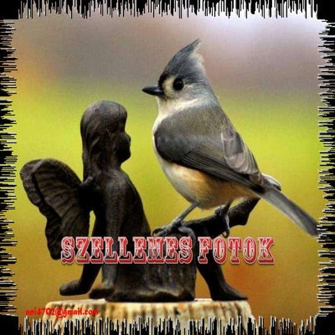 Szellemes fotok+ani (nx power lite)