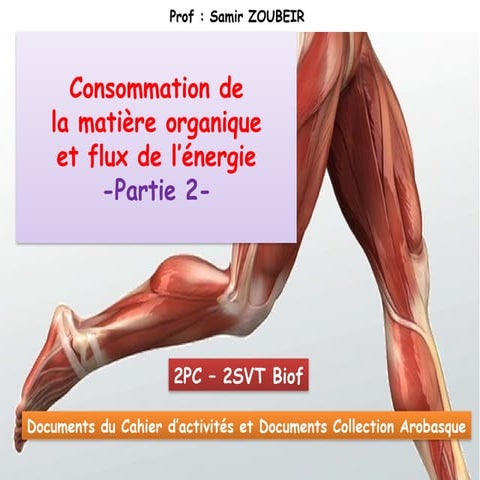 S Zoubair Cours 2PC Biof Muscle 3partie 1.pptx