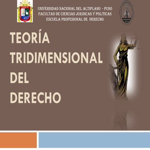 Teoria Tridimenciona - sintesis