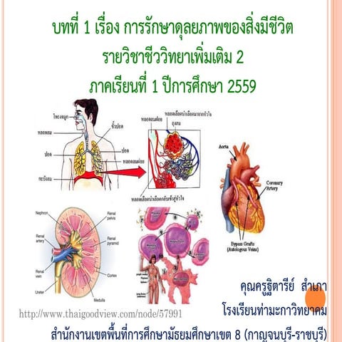 ระบบหายใจ 