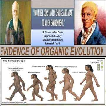 organic evolution evidences