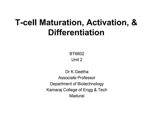 T cell development, maturation, activation and differentiation