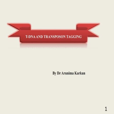 T dna & transposone tagging 1 (2)