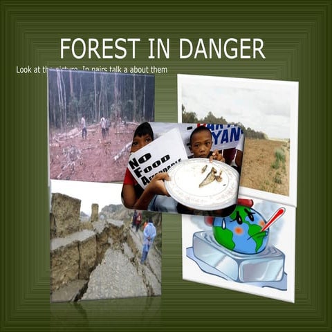 forest in danger