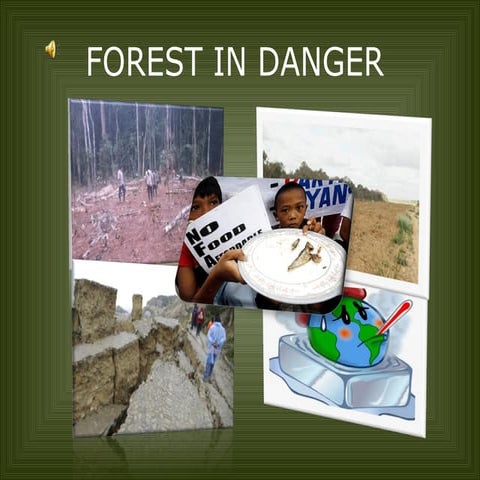  forest in danger with audio