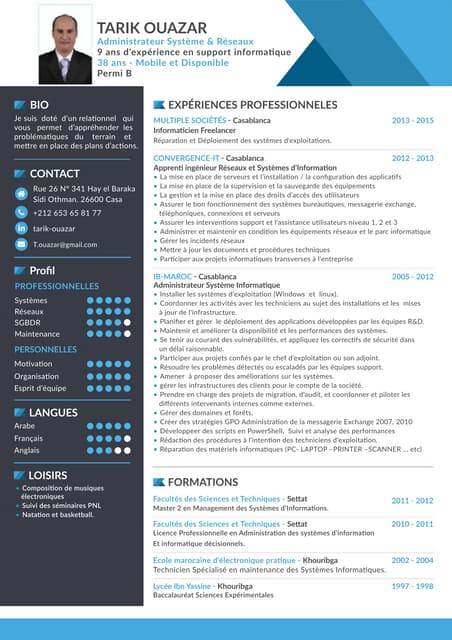 Cv  Français