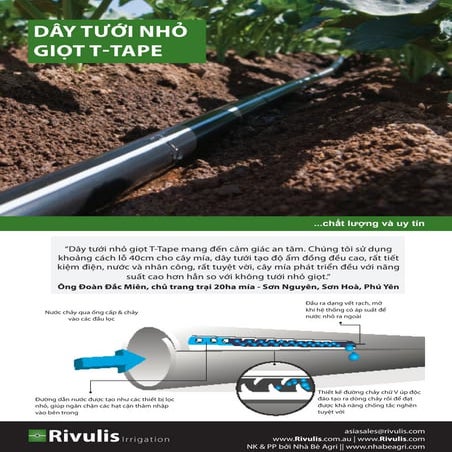 T tape day tuoi nho giot doc theo luong