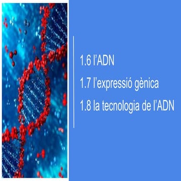 T03 - Gens i manipulació genetica.pdf   ..,