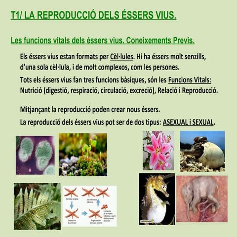T1 reproducció éssers vius-resums