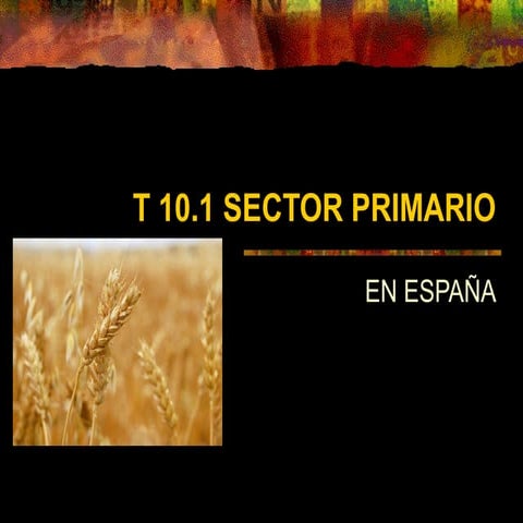 El SECTOR PRIMARIO EN ESPAÑA