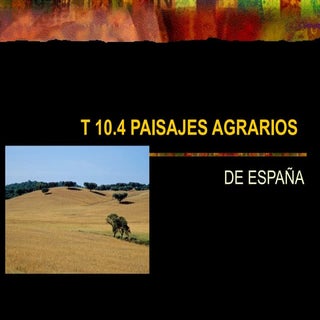 LOS PAISAJES AGRARIOS EN ESPAÑA