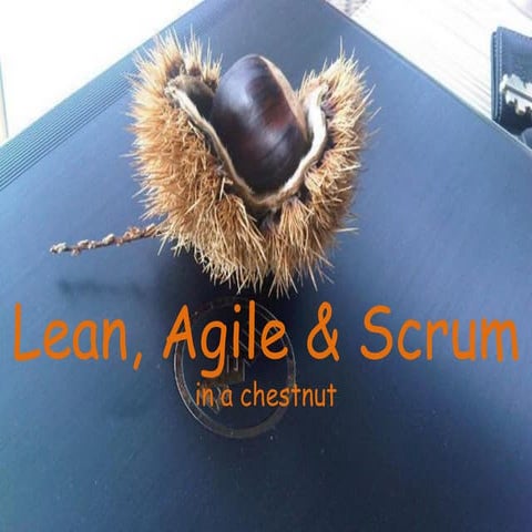 Lean and agile in a chestnut