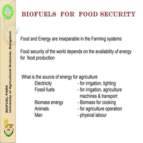 T2 b gowda_biofuels for food security