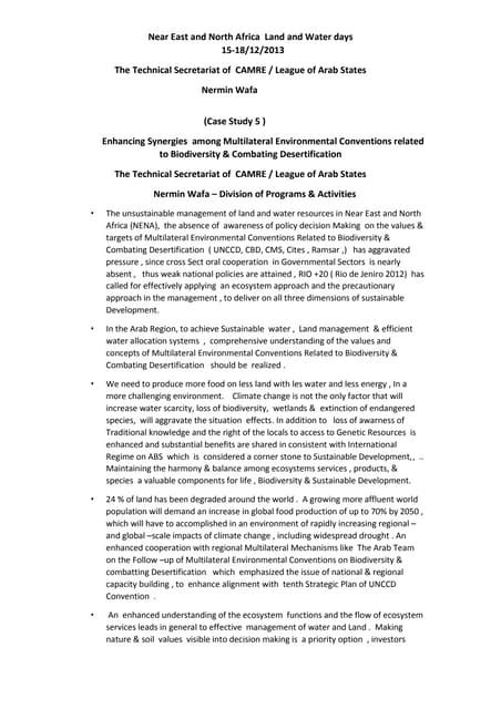 T3 case study 5 nermin wafa exec summary