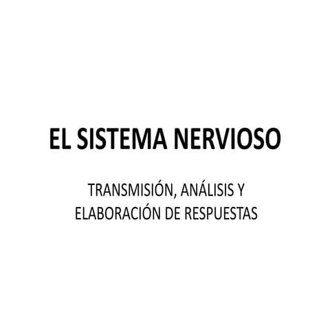 ESPA M3 T3 EL SISTEMA NERVIOSO.