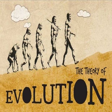 T3W2 Evidence of Evolution and Cladistics.pptx