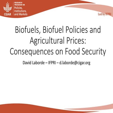 T4 a laborde_biofuels-pricevolatility-laborde