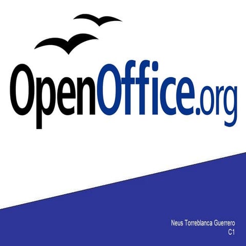 T4 ex1 o oo presentacio