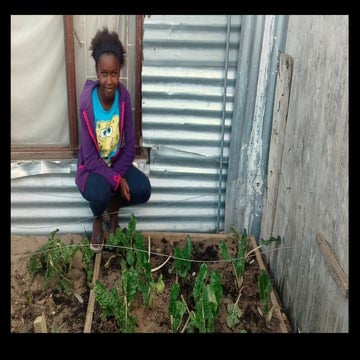 T4SDGs19_CP4_3_H vd Watt