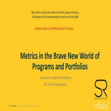 Metrics in the Brave New World of Programs and Portfolios