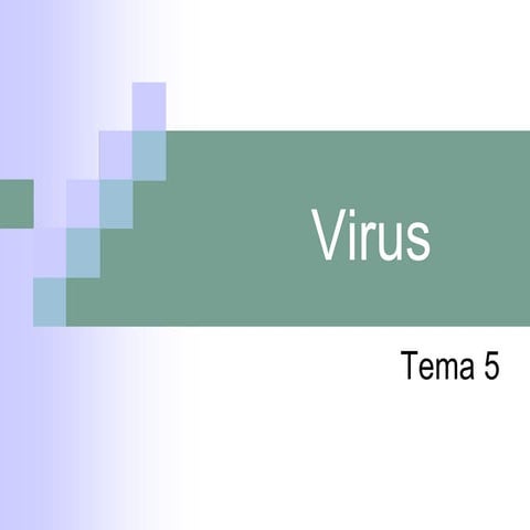  virus