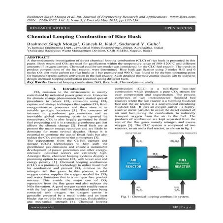 Chemical Looping Combustion of Rice Husk