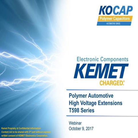 Polymer Automotive High Voltage Extensions T598 Series