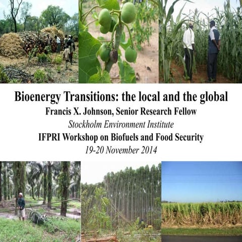 T5 b ifpri-ws-nov2014-fx_johnson