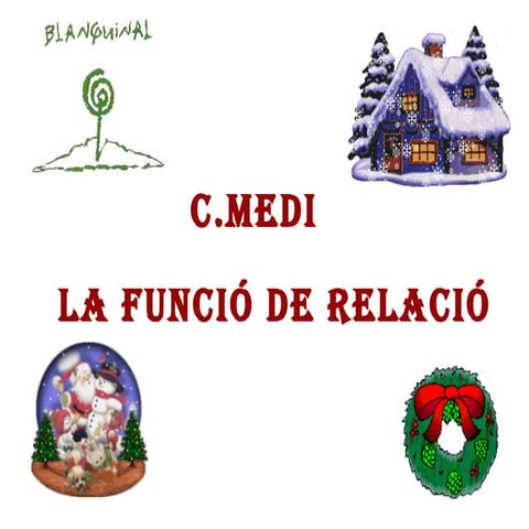 T 5 la relació humana 5º c celes