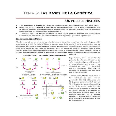 T5 las bases de la genética