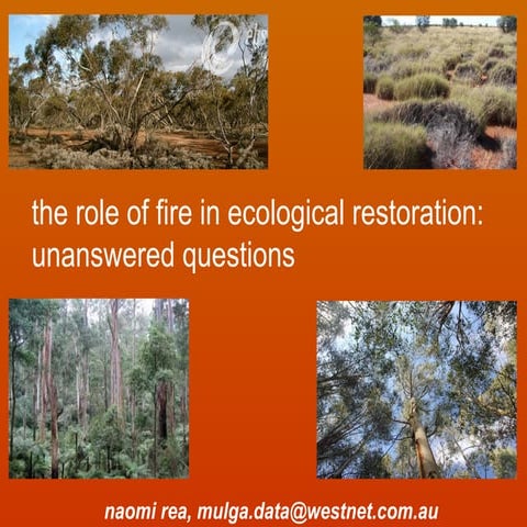 Bushfires | PPTX