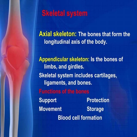 Skeletal system pharma