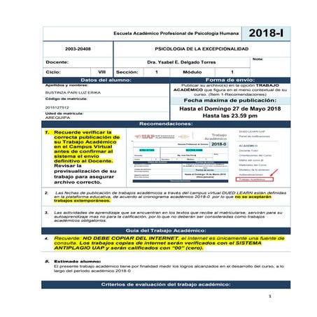 FORMATO PACI CON EJEMPLO.docx