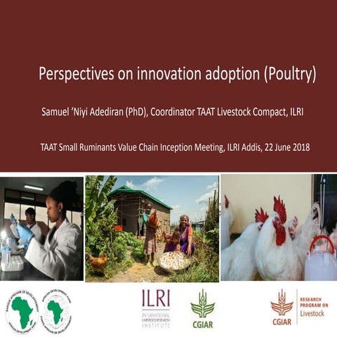 Perspectives on innovation adoption (Poultry)