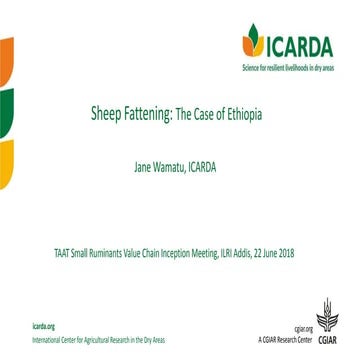  Sheep fattening: The case of Ethiopia