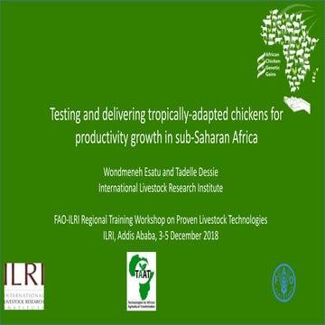  Testing and delivering tropically-adapted chickens for productivity growth i...