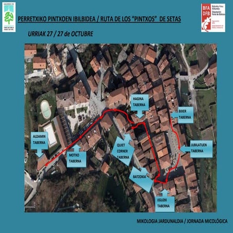 Mikologia Jardunaldien Tabernak