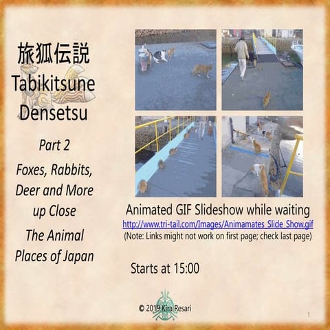 Tabikitsune Densetsu 2 ~ Foxes, Rabbits, Deer and More up Close The Animal Pl...