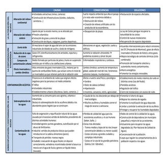 Tabla resumen - problemas medioambi...