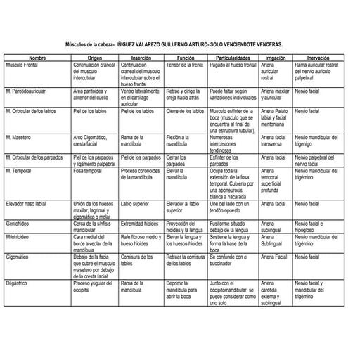 Tabla de los musculos